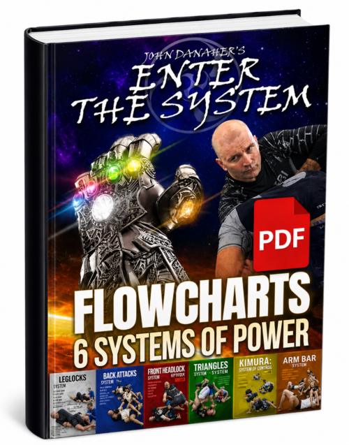 (FREE FLOWCHARTS) Enter The System Bundle By John Danaher