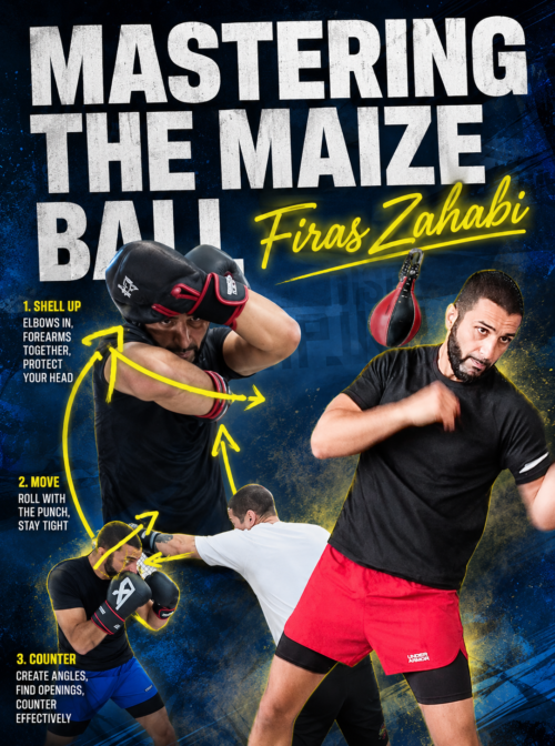Mastering The Maize Ball Workout by Firas Zahabi
